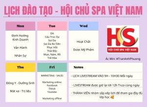 [ FREE ] Lịch Đào Tạo - Hội Chủ Spa Việt Nam 