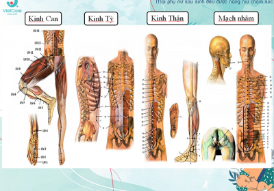 Giảm béo bụng đông y - Nguyên Nhân và cách xử lý hiệu quả