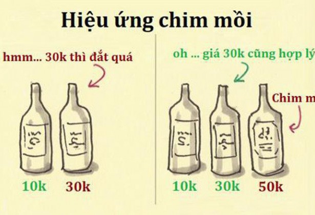 Hiệu ứng chim mồi áp dụng hiệu quả cho Spa thế nào ?