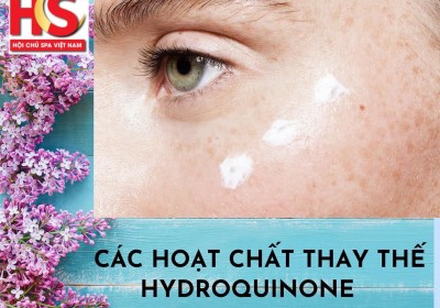 Các hoạt chất ức chế nám thay thế hydroquinone