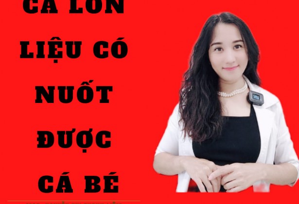 Spa 5 giường trở xuống - Bạn đừng cười họ 