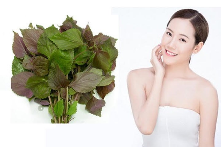 Phương pháp điều trị nám bằng lá tía tô