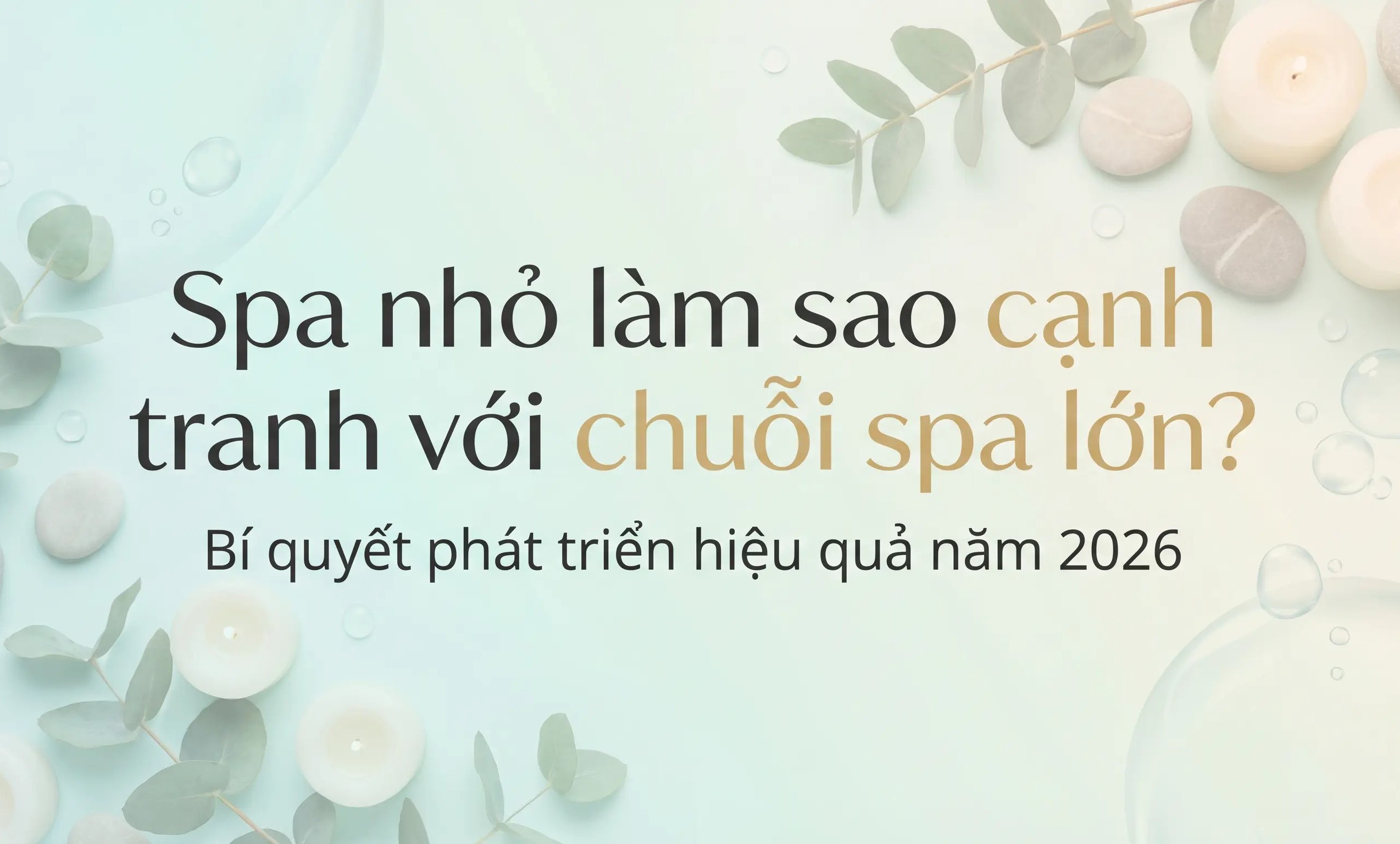 spa nhỏ làm sao cạnh tranh với spa lớn